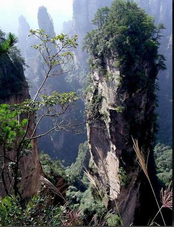 長沙出發(fā)到張家界溶洞奇觀黃龍洞、國家森林公園、袁家界、峰林之王天子山三日游（早班）